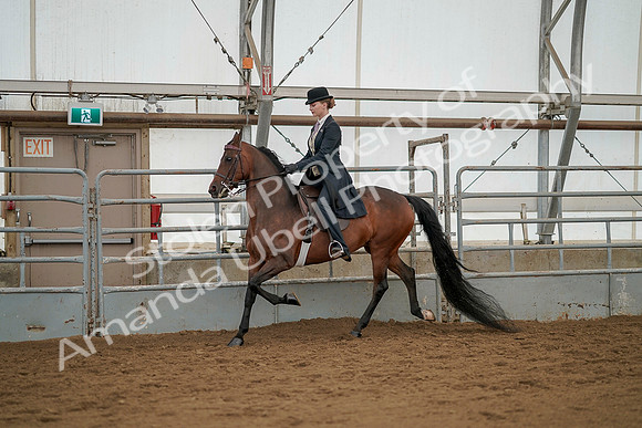 July 20, 2019 - 04264