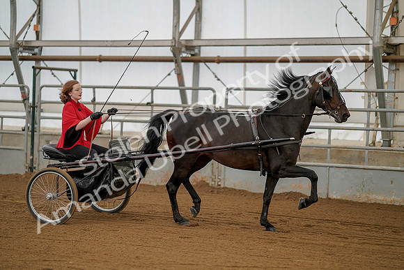 July 20, 2019 - 00238