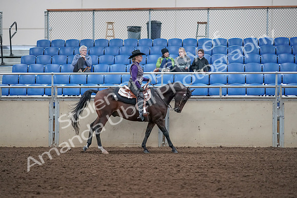 2019 Morgan Horse Show - Aug 31, 2019 - 10694