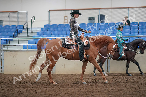 2019 Morgan Horse Show - Aug 30, 2019 - 16972