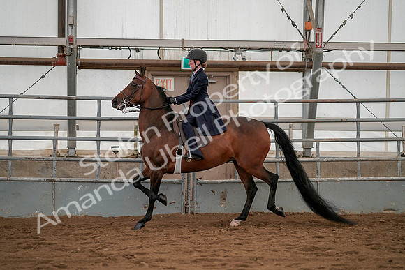 July 19, 2019 - 3815