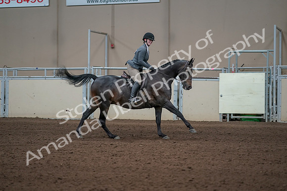 2019 Morgan Horse Show - Sept 01, 2019 - 11122