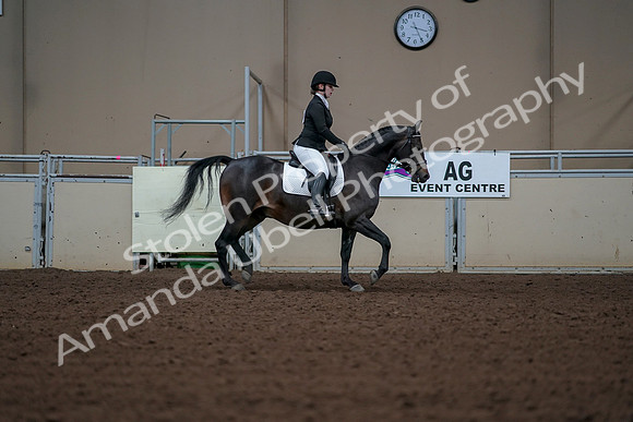 2019 Morgan Horse Show - Aug 30, 2019 - 18545