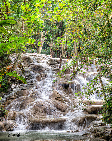 Jamaica - 030