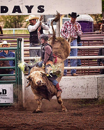 rodeo - 007