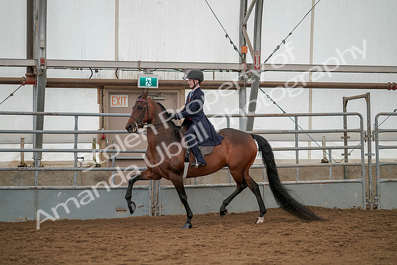 July 20, 2019 - 03611