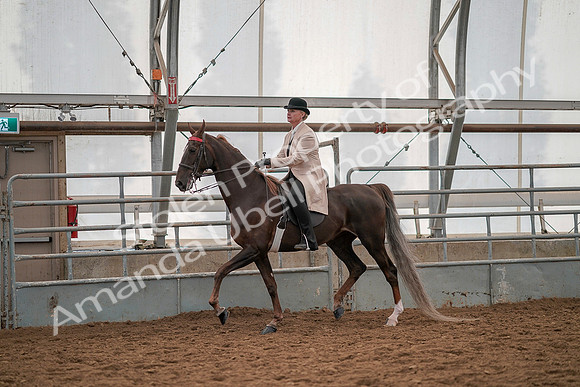 July 19, 2019 - 12834
