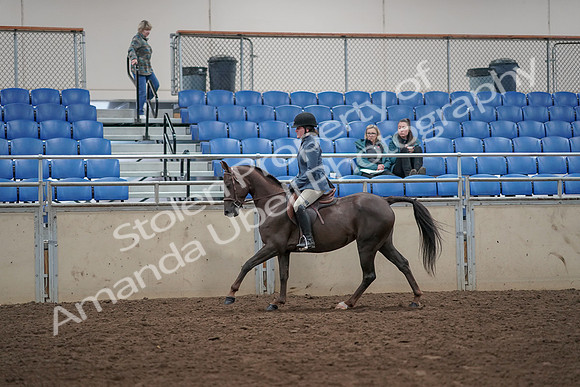 2019 Morgan Horse Show - Aug 31, 2019 - 07340