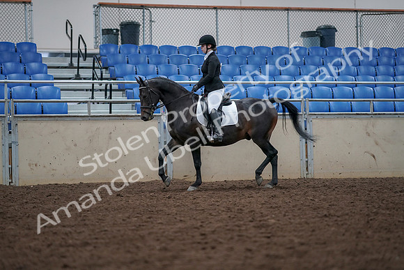 2019 Morgan Horse Show - Aug 30, 2019 - 18391