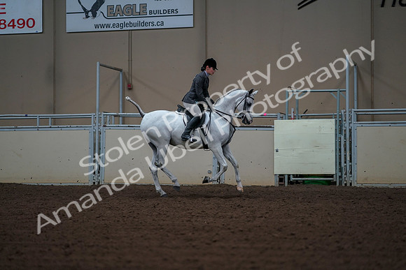 2019 Morgan Horse Show - Aug 30, 2019 - 17621