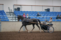 2019 Morgan Horse Show - Aug 31, 2019 - 10259