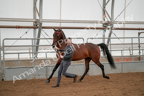 July 19, 2019 - 1188