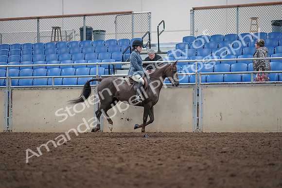 2019 Morgan Horse Show - Aug 31, 2019 - 16761