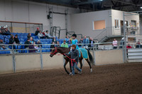 2019 Morgan Horse Show - Aug 31, 2019 - 09927