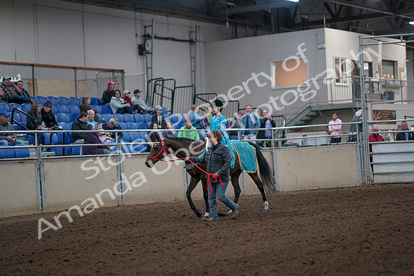 2019 Morgan Horse Show - Aug 31, 2019 - 09927