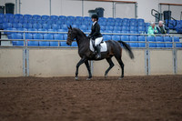 2019 Morgan Horse Show - Aug 30, 2019 - 18294