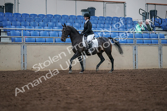 2019 Morgan Horse Show - Aug 30, 2019 - 18294
