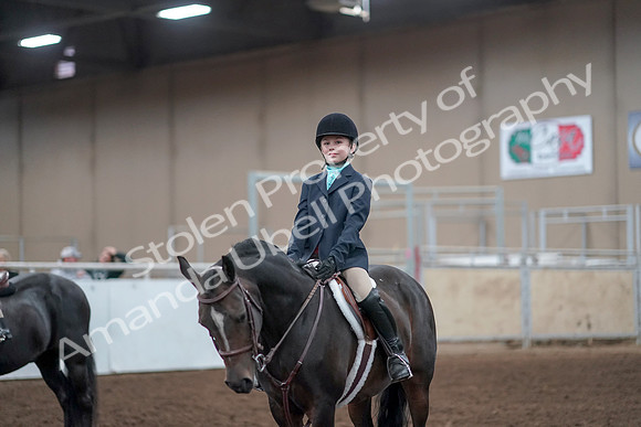 2019 Morgan Horse Show - Aug 31, 2019 - 19715
