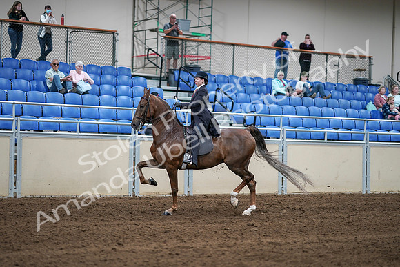 2020 - AB Morgan Horse - Sat, Sept 05 - 06208