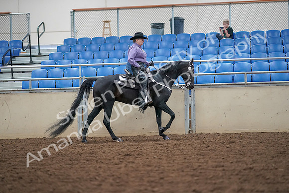 2019 Morgan Horse Show - Aug 30, 2019 - 16936