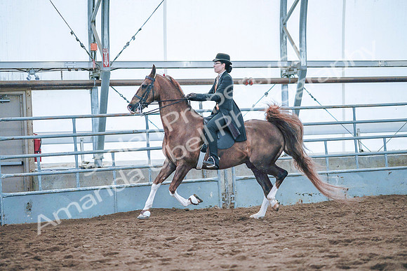 July 20, 2019 - 24042