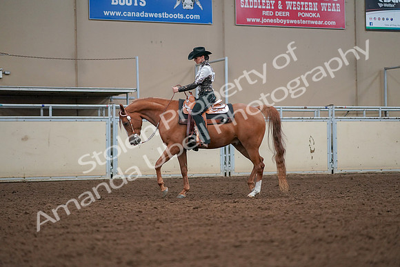 2019 Morgan Horse Show - Aug 30, 2019 - 16784
