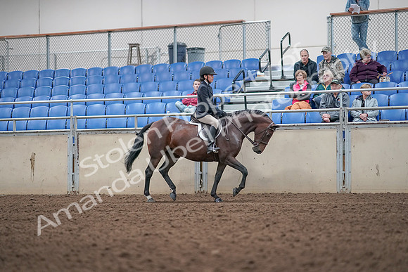 2019 Morgan Horse Show - Aug 31, 2019 - 19680