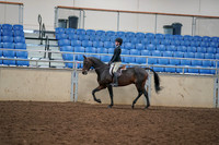 2019 Morgan Horse Show - Aug 30, 2019 - 12141