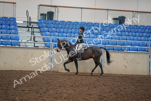 2019 Morgan Horse Show - Aug 30, 2019 - 12141