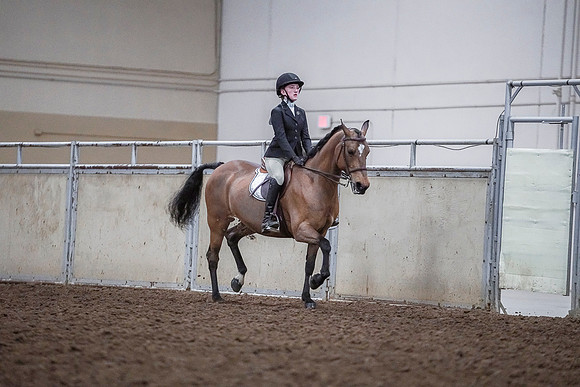 Spring Fling - Saturday - April 20, 2019  -  03814
