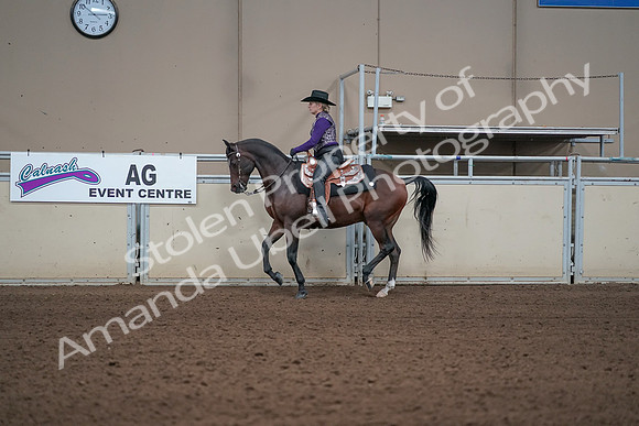 2019 Morgan Horse Show - Aug 31, 2019 - 10589