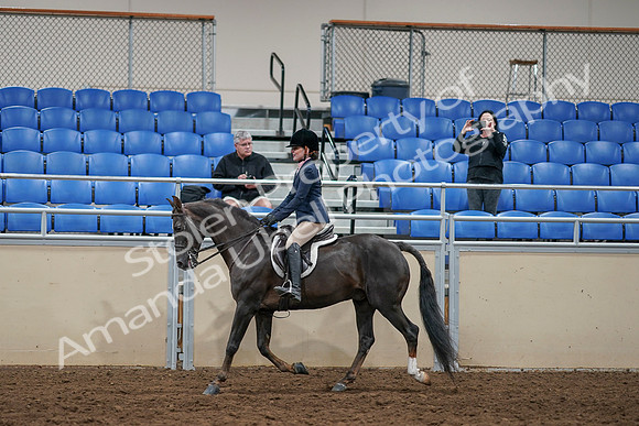 2020 - AB Morgan Horse - Sun, Sept 06 - 07755