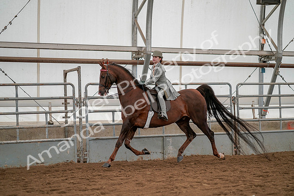 July 19, 2019 - 3980
