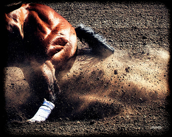 rodeo - 013