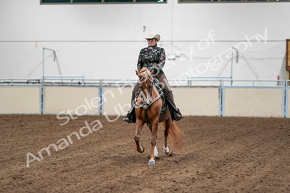 2020 - AB Morgan Horse - Fri, Sept 04 - 08507