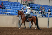 2020 - AB Morgan Horse - Sun, Sept 06 - 07467