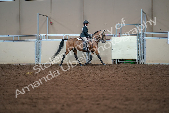 2019 Morgan Horse Show - Aug 30, 2019 - 20787