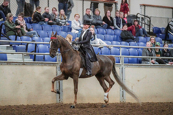 Spring Fling - Saturday - April 20, 2019  -  04359
