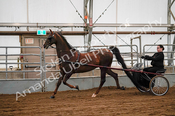 July 19, 2019 - 7036