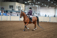 2020 - AB Morgan Horse - Fri, Sept 04 - 02216