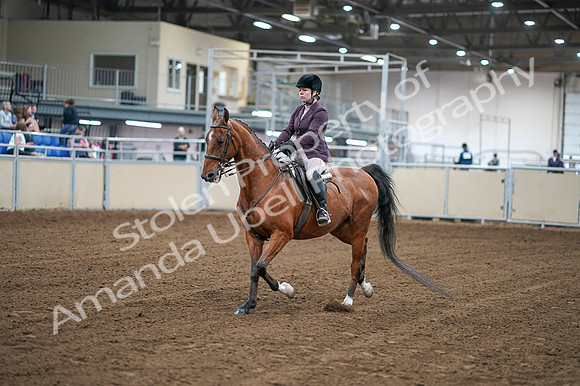 2020 - AB Morgan Horse - Fri, Sept 04 - 02216