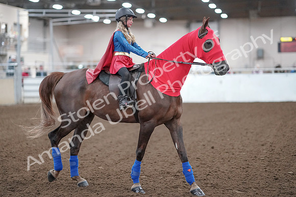 2019 Morgan Horse Show - Aug 31, 2019 - 10000