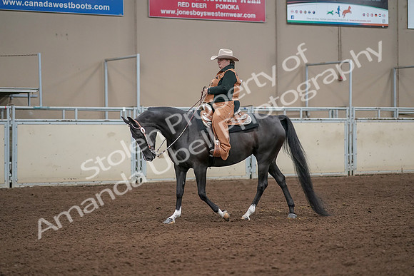 2019 Morgan Horse Show - Aug 31, 2019 - 06050