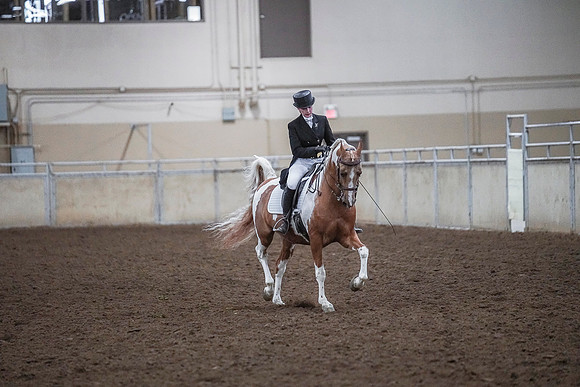Spring Fling - Saturday - April 20, 2019  -  03722