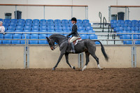 2019 Morgan Horse Show - Aug 30, 2019 - 23118