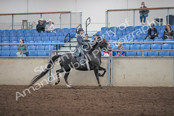2019 Morgan Horse Show - Aug 31, 2019 - 09638