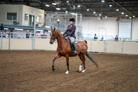 2020 - AB Morgan Horse - Fri, Sept 04 - 02212