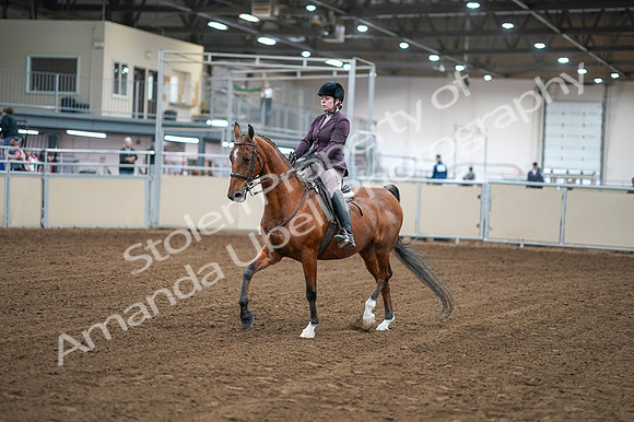 2020 - AB Morgan Horse - Fri, Sept 04 - 02212