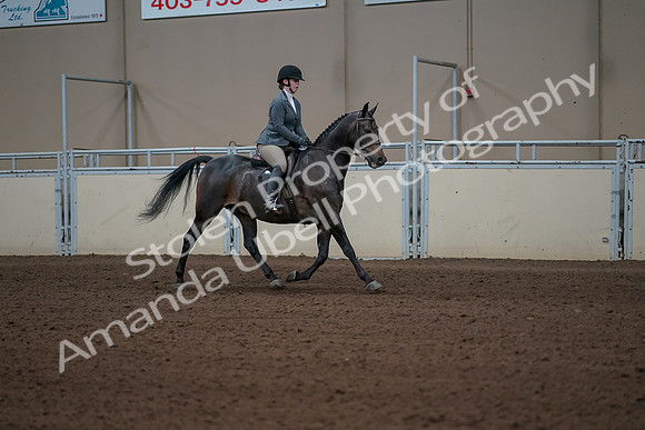 2019 Morgan Horse Show - Sept 01, 2019 - 11048
