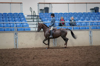 2019 Morgan Horse Show - Aug 31, 2019 - 16506